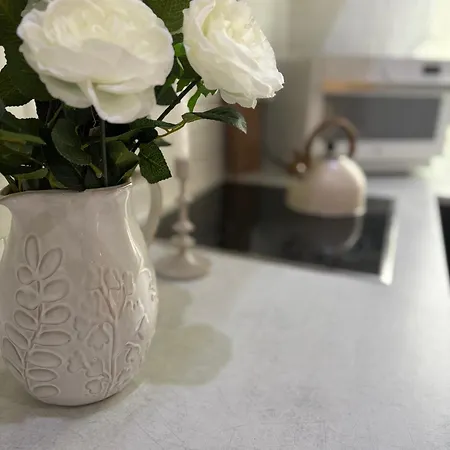 Strasbourg 7 Guests, 10 Min Center