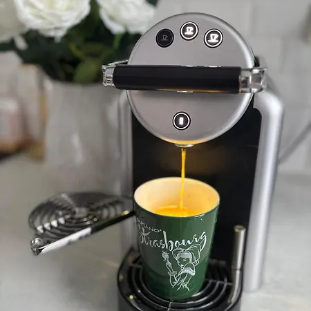 Strasbourg 7 Guests, 10 Min Center Lingolsheim